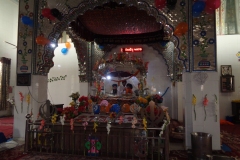 DSC00666