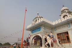 DSC00715