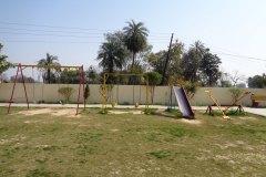 DSC00242