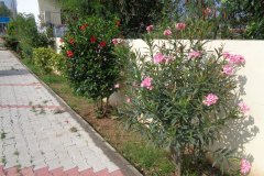 DSC00443